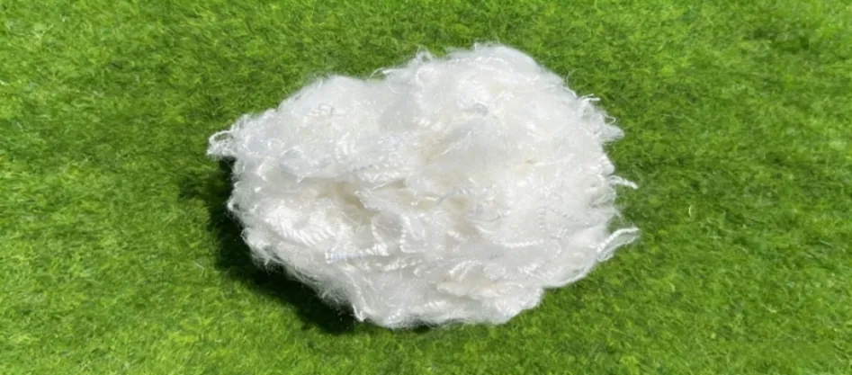 Apakah Poliester Serat Alami?