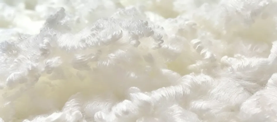 Apakah Poliester Serat Sintetik? (2)