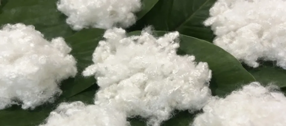 Apakah Poliester Serat Sintetik? Sesuatu yang Perlu Anda Ketahui